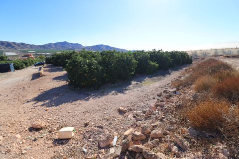 Landejendom i Lorca, Murcia, Lorca - € 199.000 | Ref: 2205-CH - foto 43